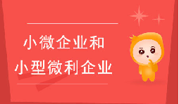 小微企業(yè)和小型微利企業(yè)有什么區(qū)別？